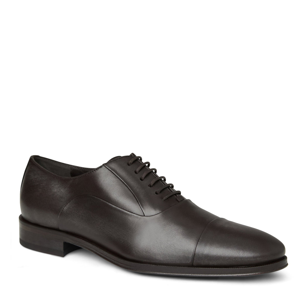 Maioco Oxford Men | Bruno Magli Recommended