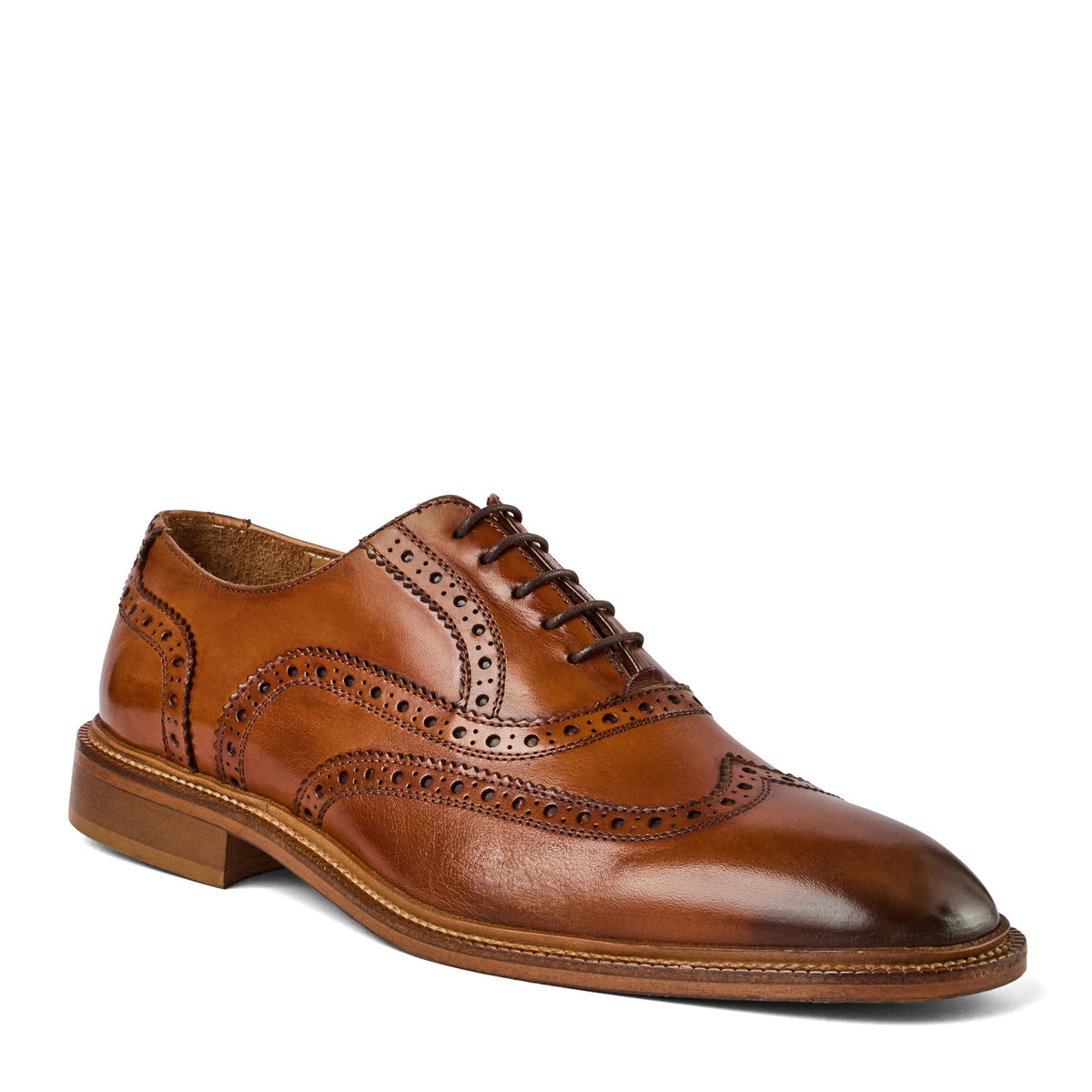 Alfonso Oxford Men | Bruno Magli Premium