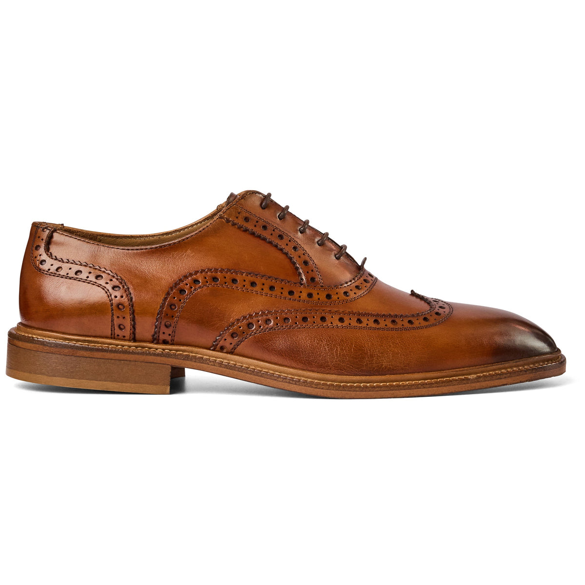 Alfonso Oxford Men | Bruno Magli Premium