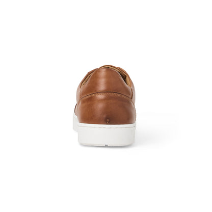 DAMIANO sneaker Men | Bruno Magli Special Offer