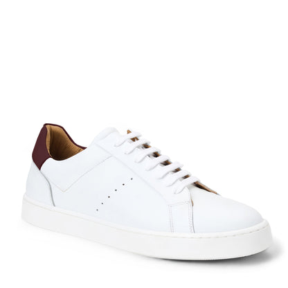 DAMIANO sneaker Men | Bruno Magli Essential