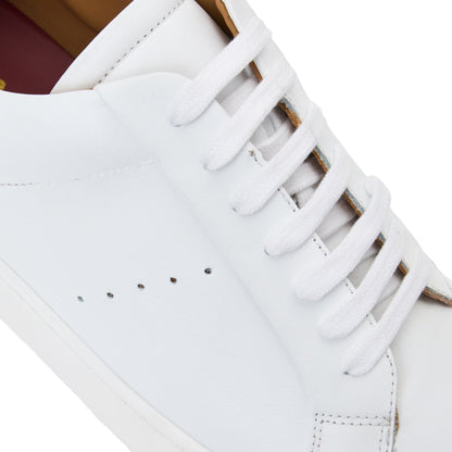 DAMIANO sneaker Men | Bruno Magli Essential