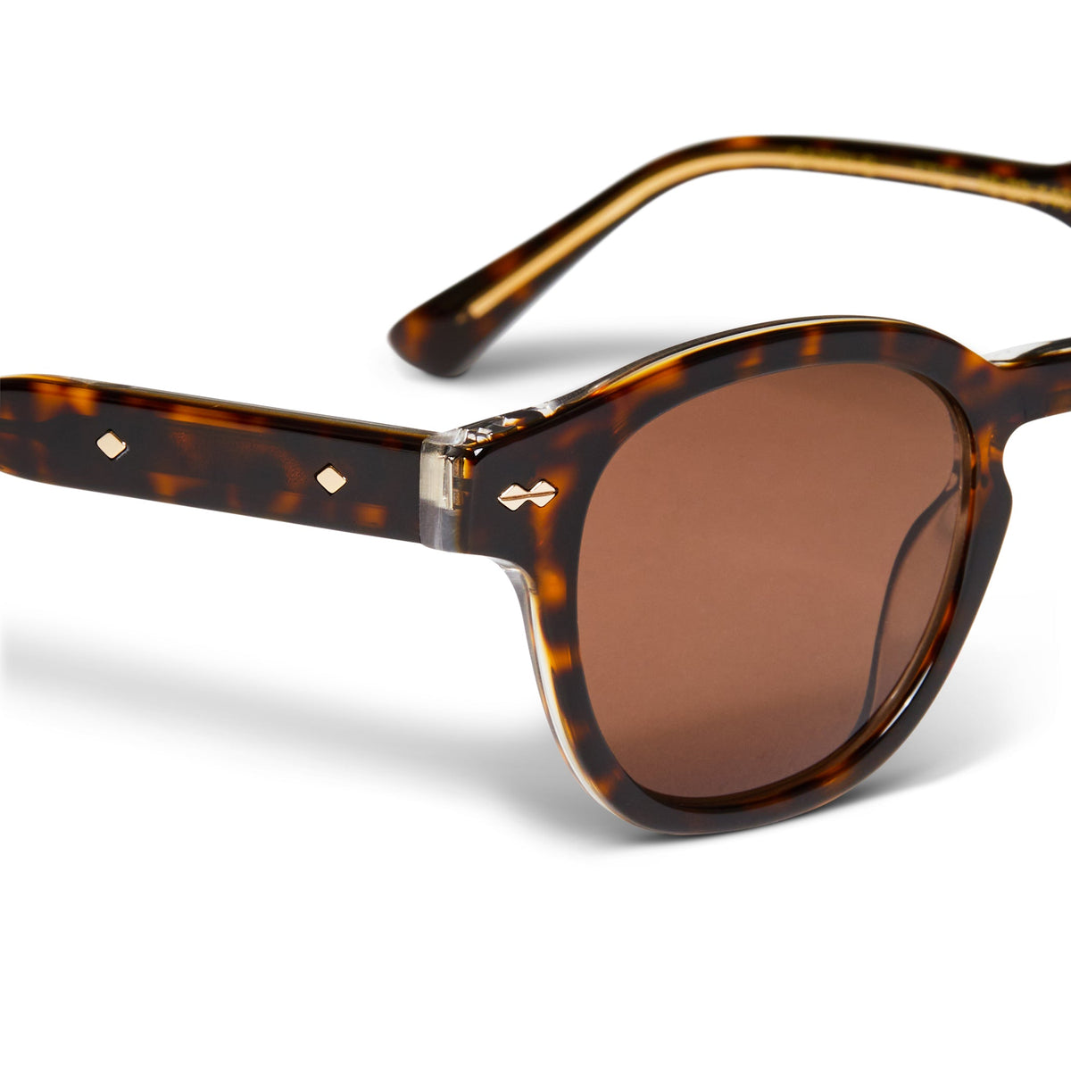 Capri Sunglasses Tortoise Handbags & Accessories | Bruno Magli Classic