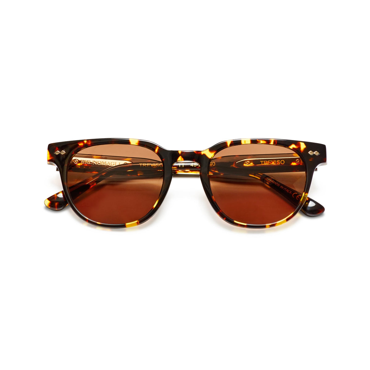 Treviso Sunglasses Tortoise Handbags & Accessories | Bruno Magli Recommended